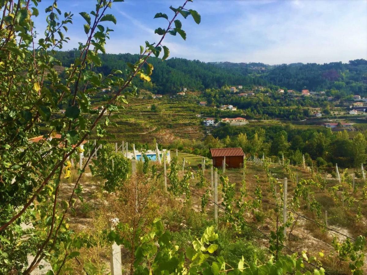 Quinta Do Peso Βίλα Amarante Εξωτερικό φωτογραφία
